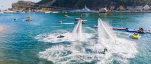 大连老虎滩海洋公园门票2026:五馆成人票210元?怎么买最划算+开放时间+交通+避坑指南