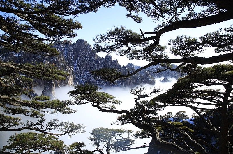 黄山风景区门票价格2026?上山路线+避坑指南