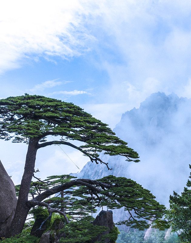黄山风景区门票价格2026?上山路线+避坑指南