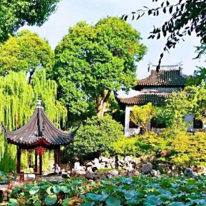 苏州狮子林门票攻略2026：票价¥30起？怎么买最划算+开放时间+交通+避坑指南