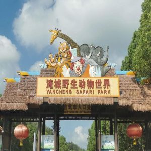 淹城野生动物园门票攻略2026：票价¥180起？怎么买最划算+开放时间+交通+避坑指南