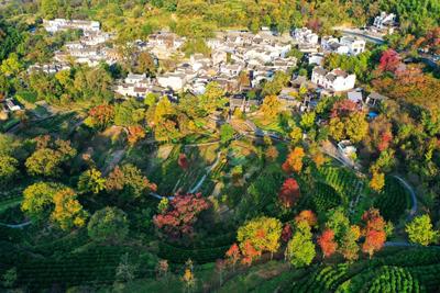 塔川旅游实景3