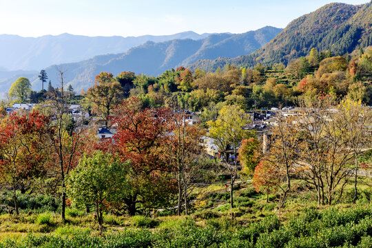 塔川旅游实景4