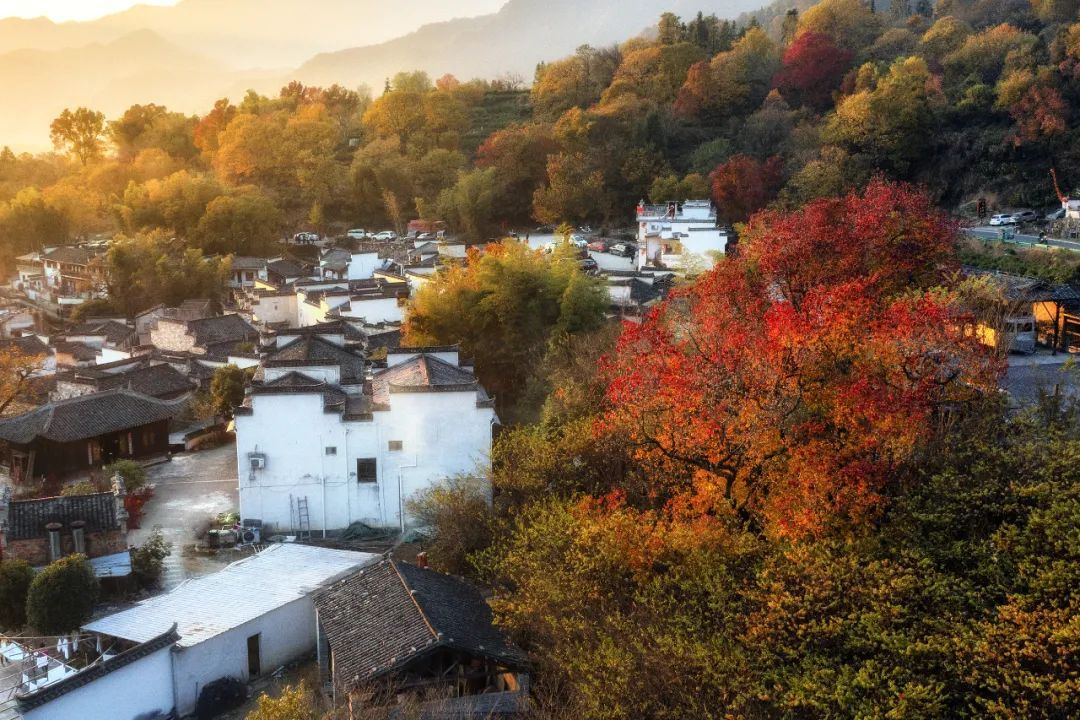 塔川旅游实景6