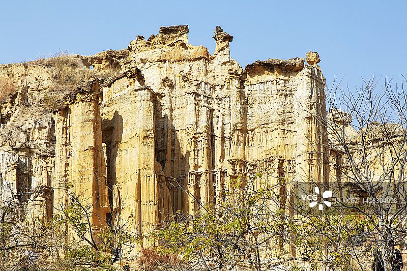 元谋土林旅游实景2