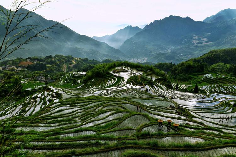 云和梯田旅游实景5