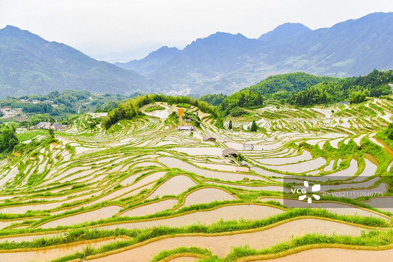 云和梯田旅游实景6