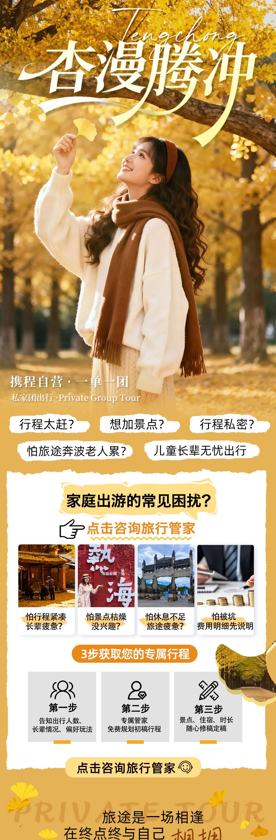 腾冲银杏村金黄古村落叶