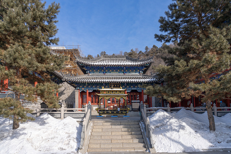 五台山显通寺红墙金顶冬日雪景