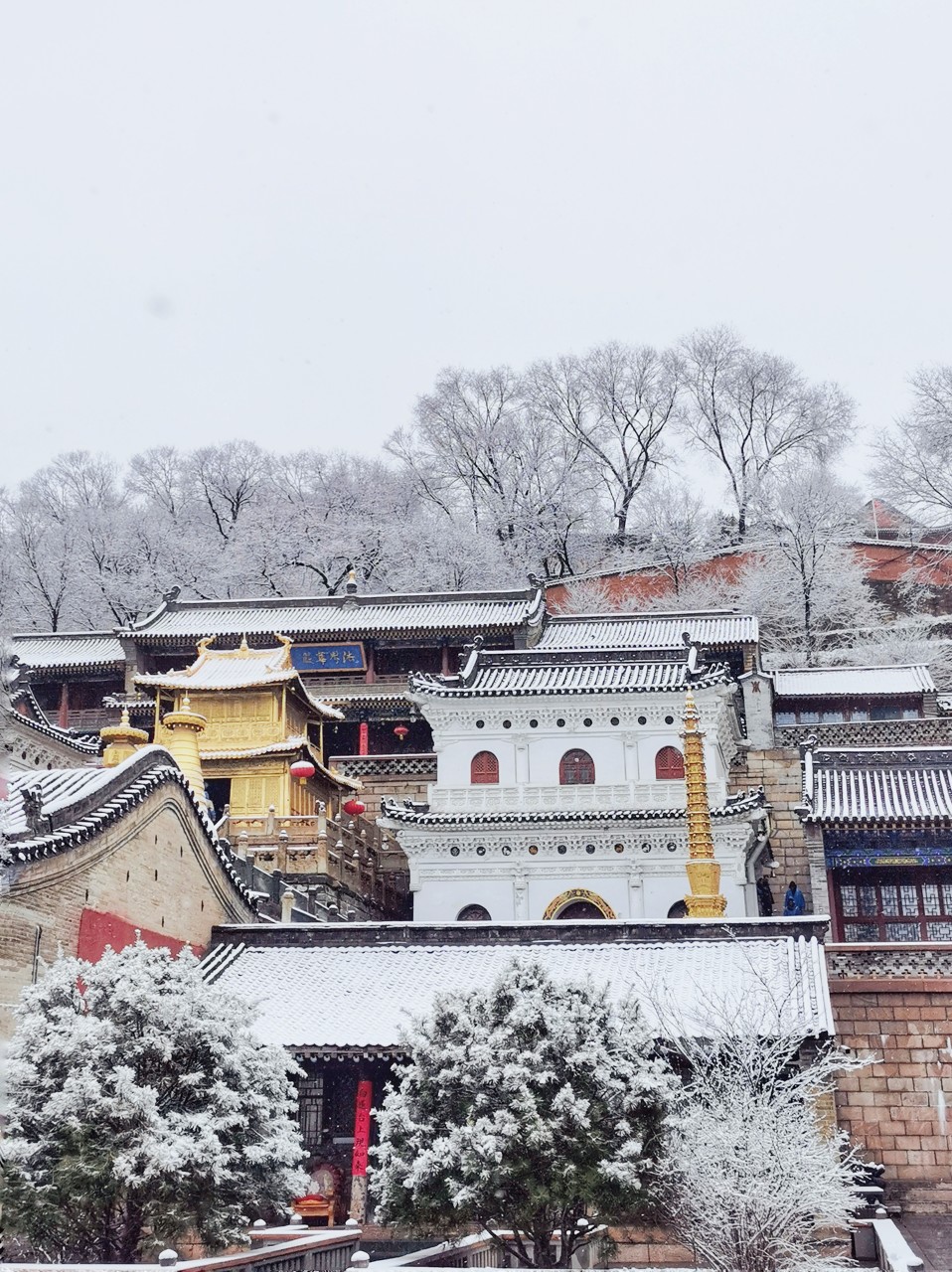五台山显通寺雪景铜殿