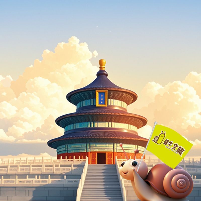 不含票/大小同价细节图